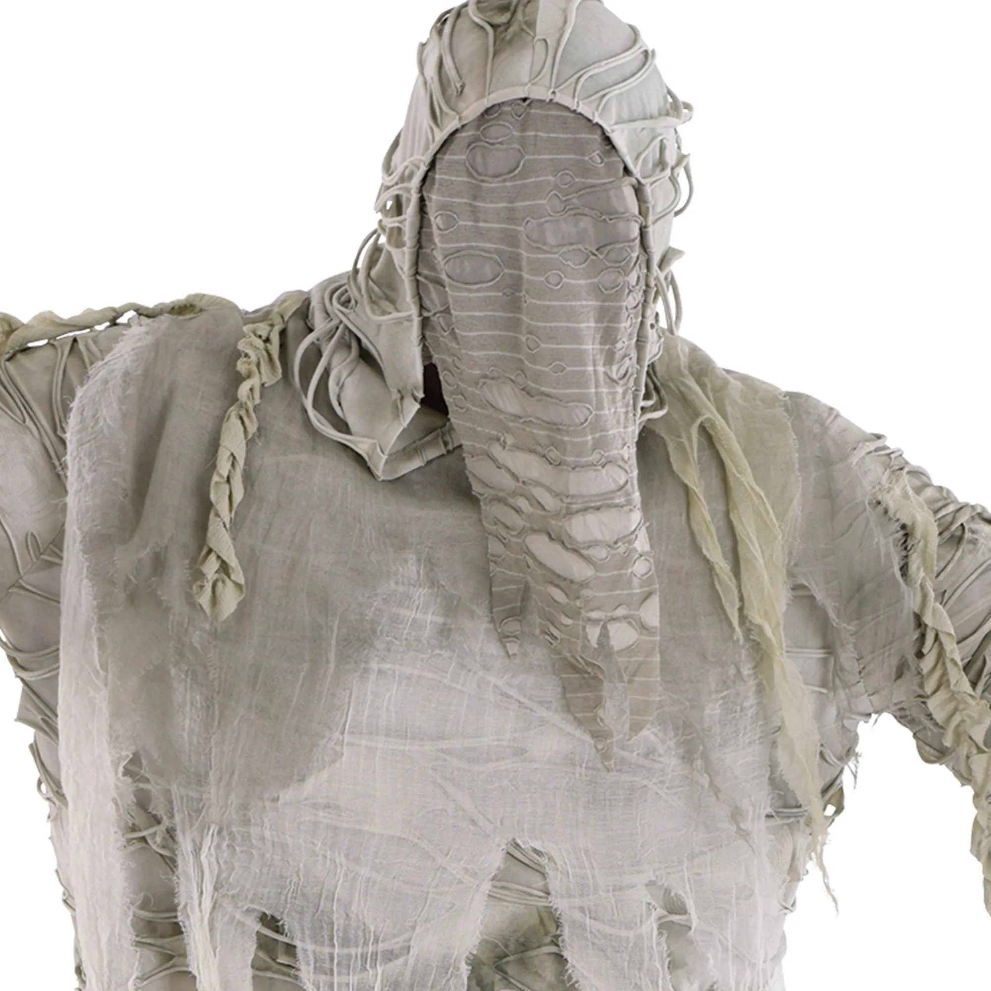 Party City Scary-Adult Mummified Plus Size Costume