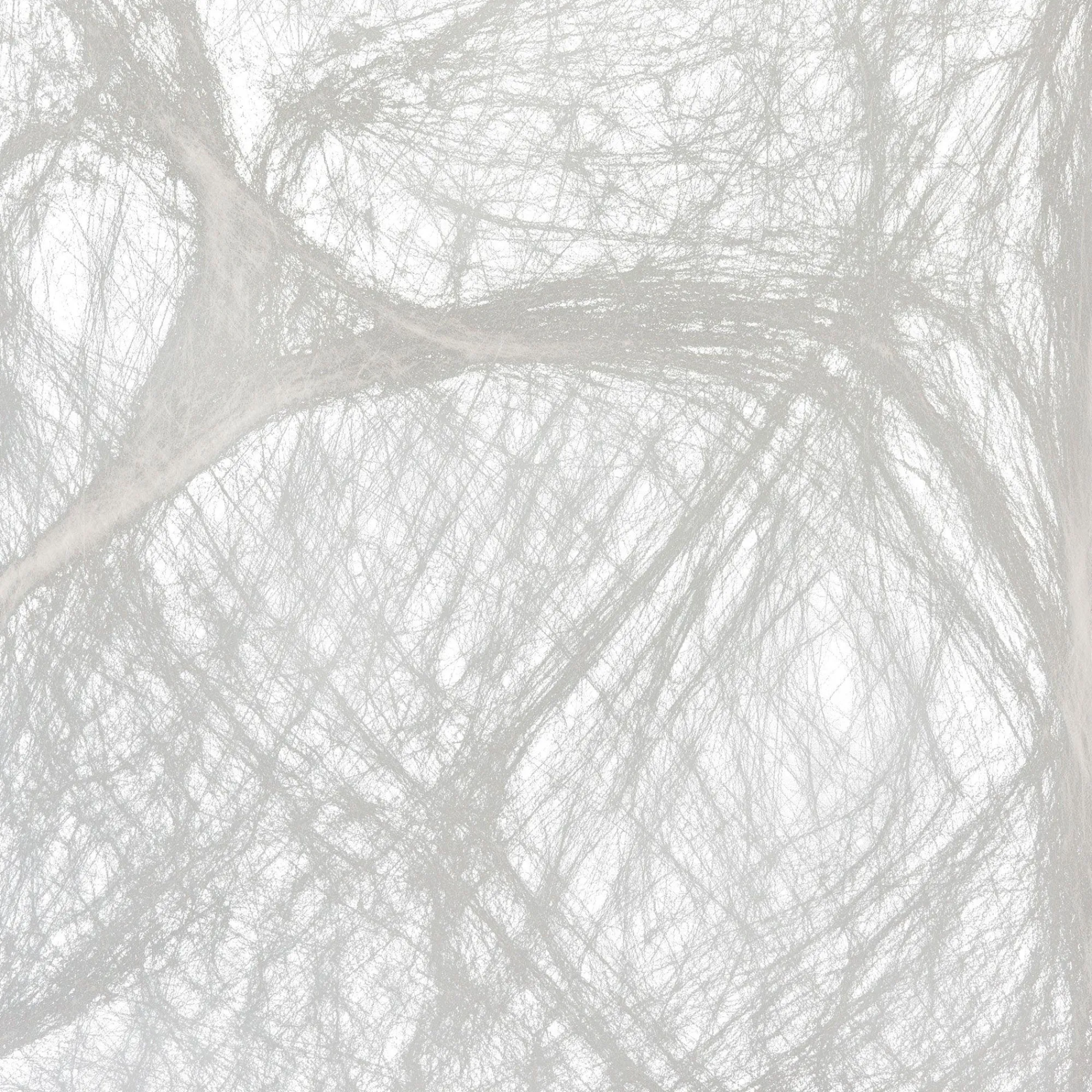 Party City Creatures|Big Spider & Web