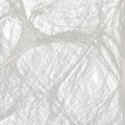 Party City Spiderweb Night|Big Spider & Web