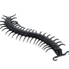 Party City Creatures|Black Centipede