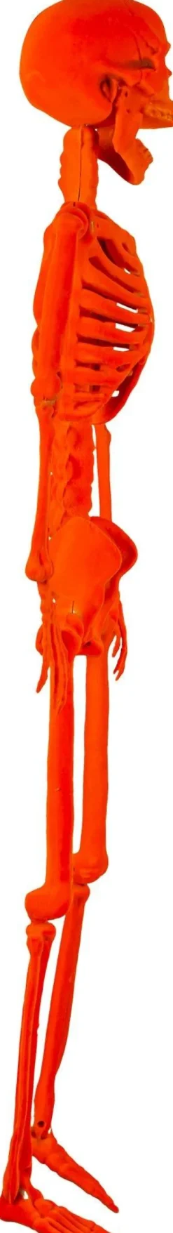 Party City Skeletons|Black Light Reactive Flocked Skeleton Hanging Decoration, 36In