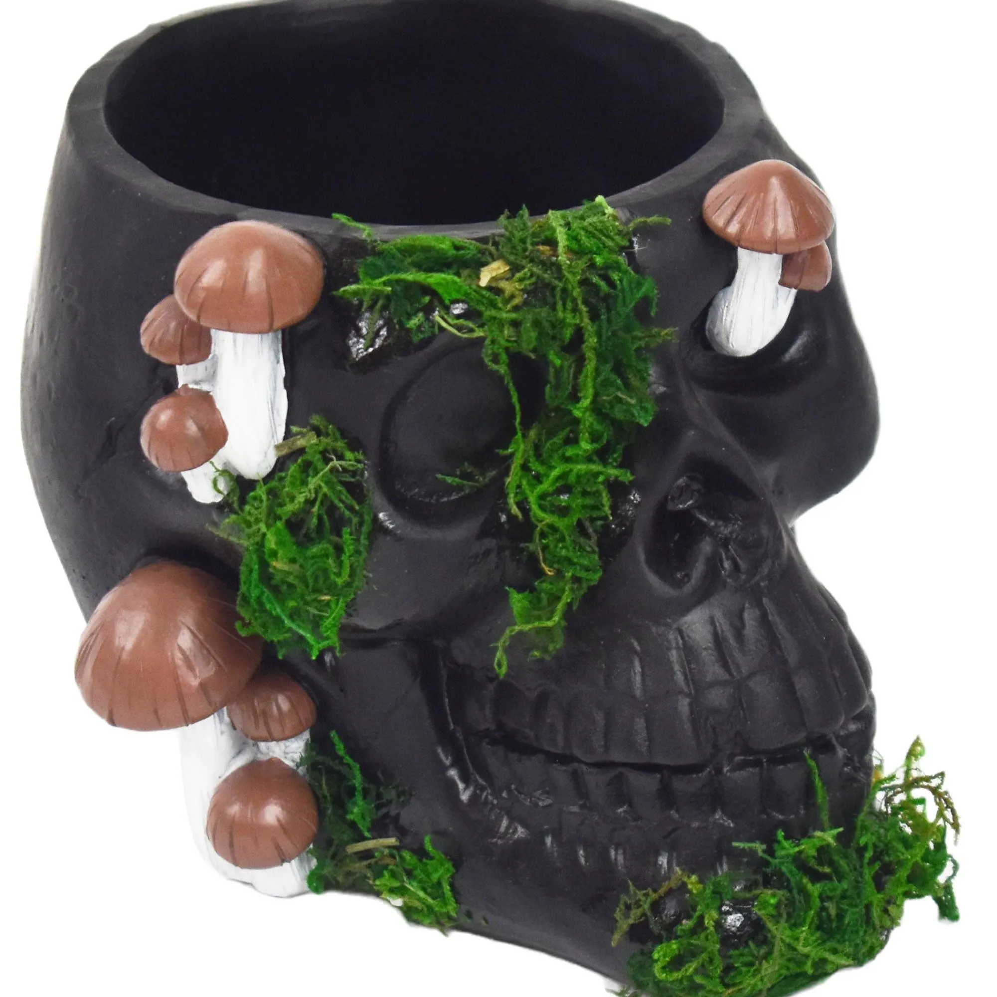 Party City Home Décor|Black Resin & Moss Skull & Mushroom Planter, 7.25In