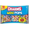 Charms Bulk Candy- Mini Pops Bag, 101Pc - 18 Flavors