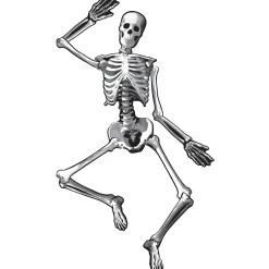 Party City Window & Wall Décor|Halloween Skeleton Jointed Cardstock Cutout, 53In