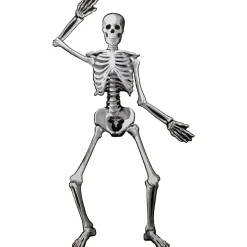 Party City Window & Wall Décor|Halloween Skeleton Jointed Cardstock Cutout, 53In
