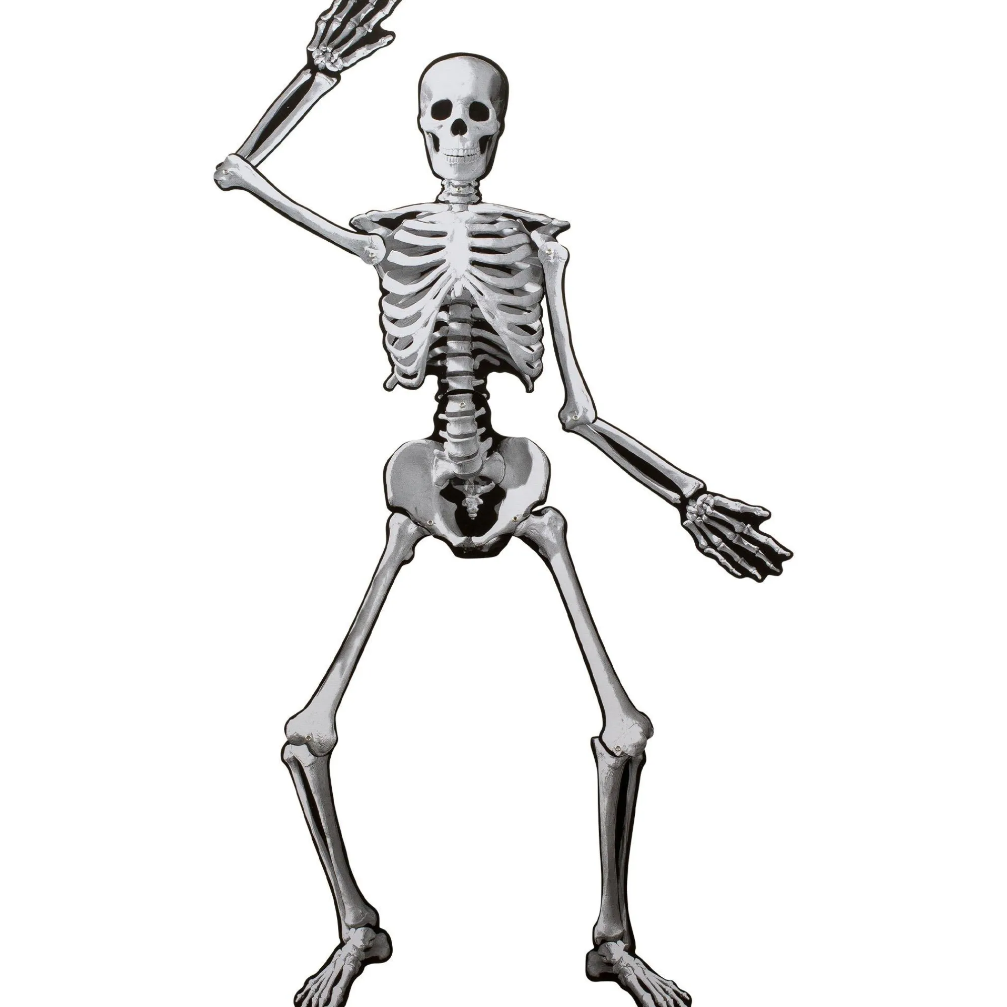 Party City Window & Wall Décor|Halloween Skeleton Jointed Cardstock Cutout, 53In