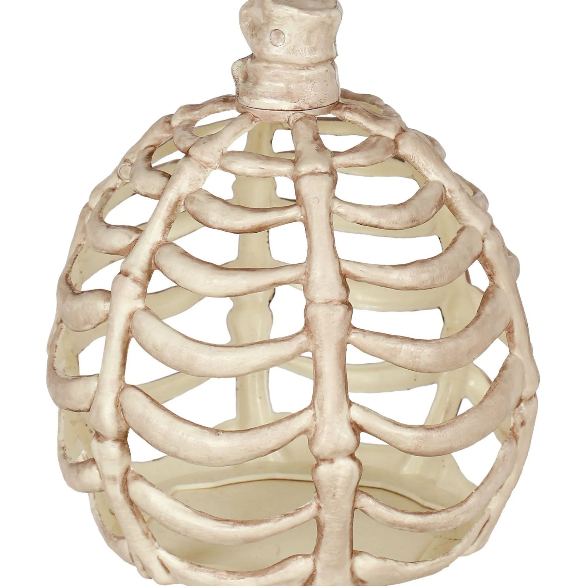 Party City Home Décor|Large Bone Plastic Pumpkin, 11In