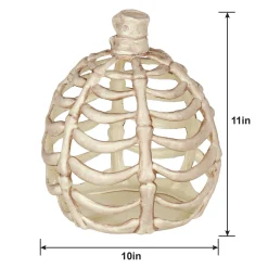 Party City Home Décor|Large Bone Plastic Pumpkin, 11In