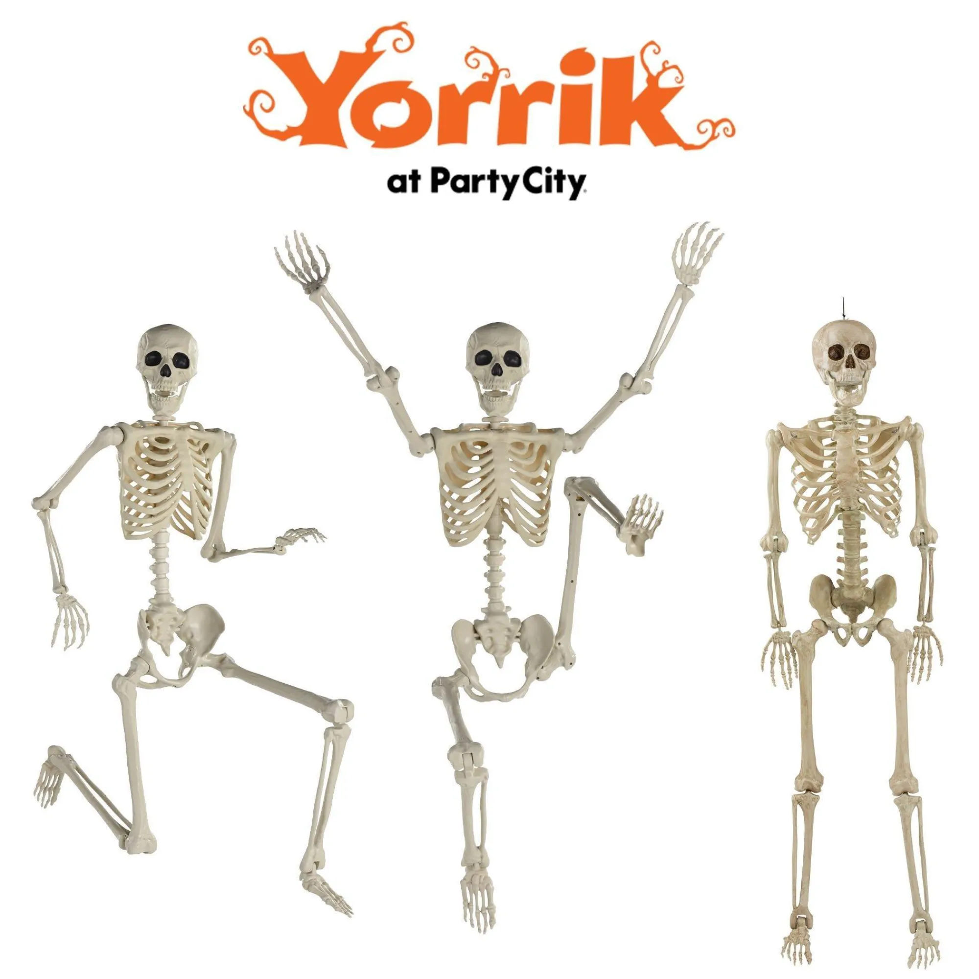 Party City Skeletons|Life-Size Poseable Skeleton, 5Ft - Halloween Decoration