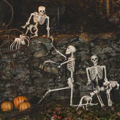 Party City Skeletons|Life-Size Poseable Skeleton, 5Ft - Halloween Decoration