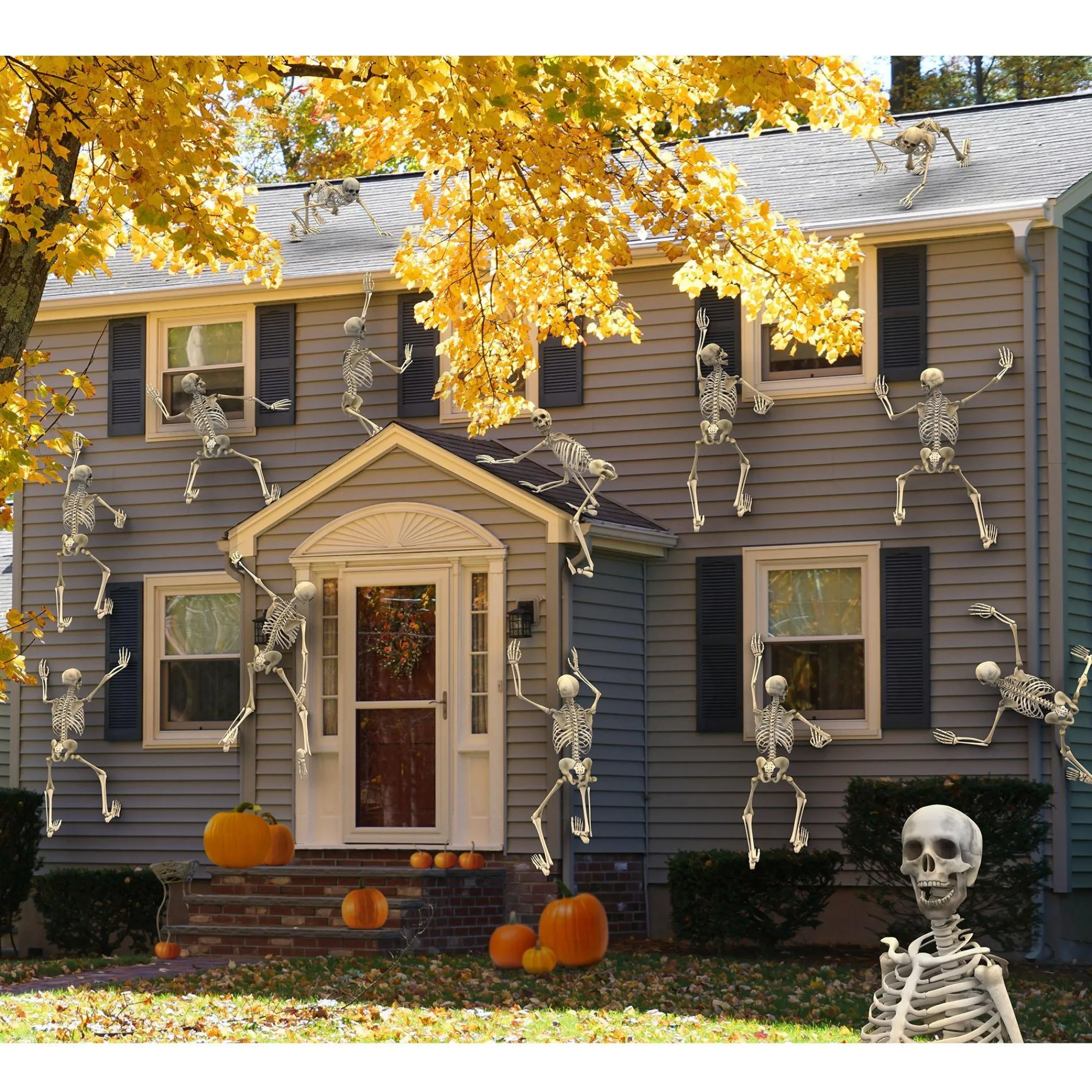 Party City Skeletons|Life-Size Poseable Skeleton, 5Ft - Halloween Decoration