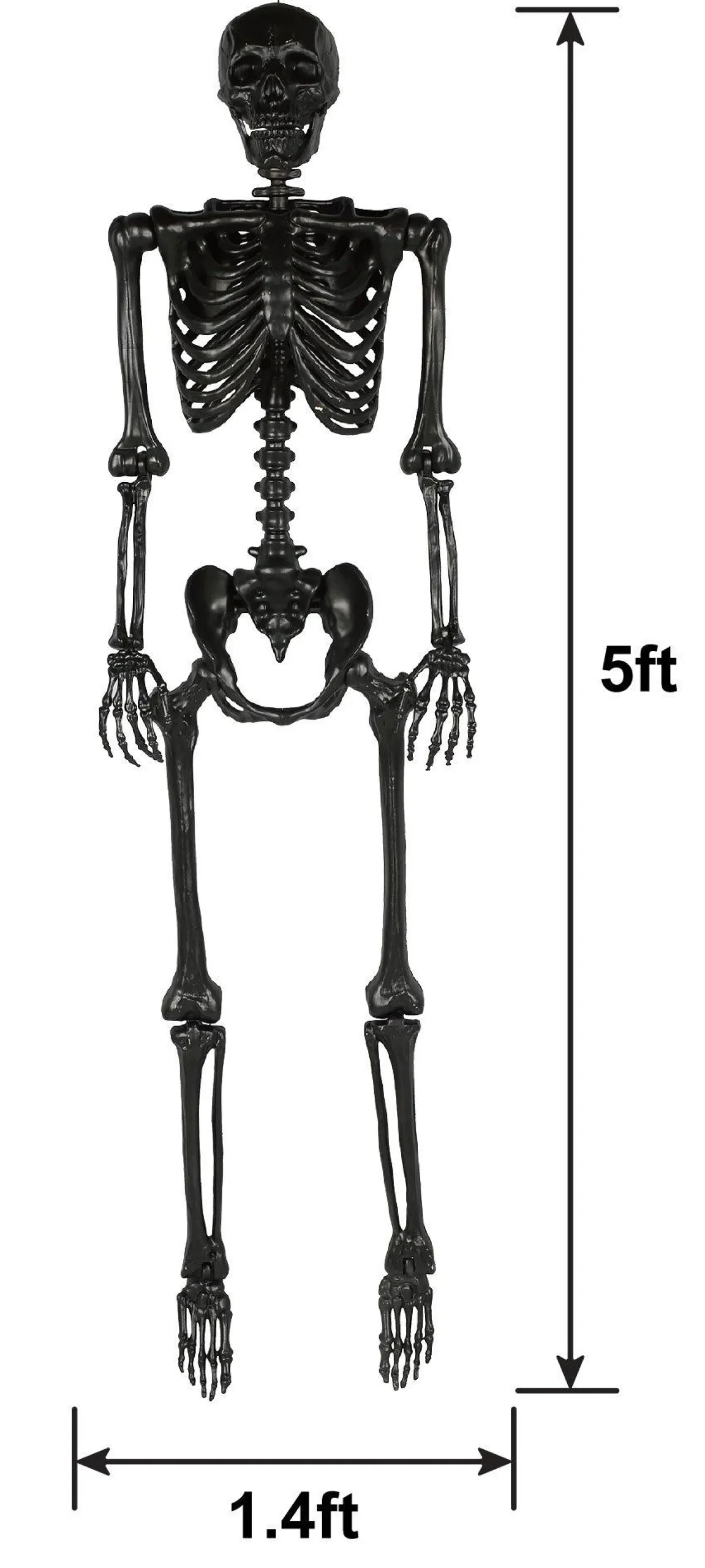 Party City Skeletons|Life-Size Poseable Skeleton, Black, 5Ft - Halloween Decoration