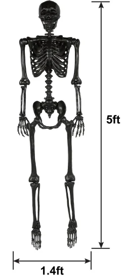 Party City Boneyard Glam|Life-Size Poseable Skeleton, Black, 5Ft - Halloween Decoration