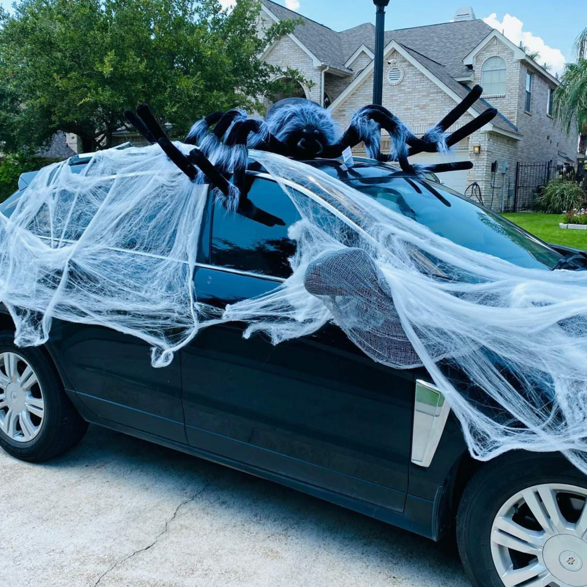 Party City Spiderweb Night|Light-Up Hairy Black Spider