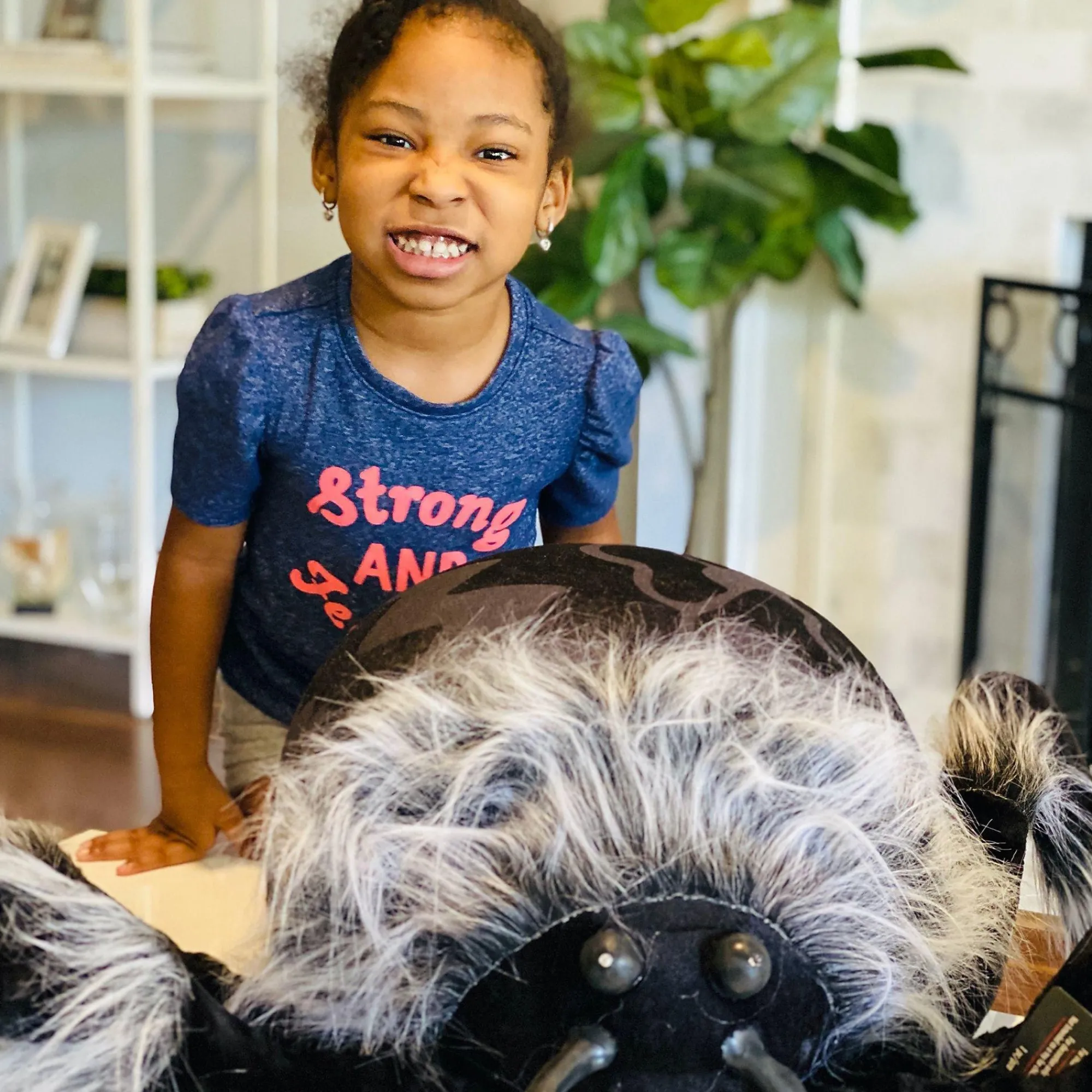 Party City Spiderweb Night|Light-Up Hairy Black Spider