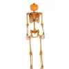 Party City Skeletons|Light-Up Midnight Pumpkin Led Plastic Skeleton, 5Ft