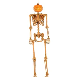 Party City Skeletons|Light-Up Midnight Pumpkin Led Plastic Skeleton, 5Ft