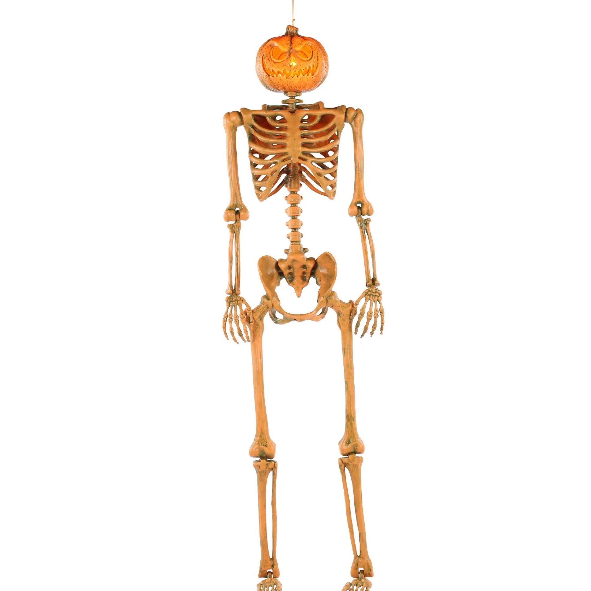 Party City Skeletons|Light-Up Midnight Pumpkin Led Plastic Skeleton, 5Ft