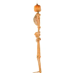 Party City Skeletons|Light-Up Midnight Pumpkin Led Plastic Skeleton, 5Ft