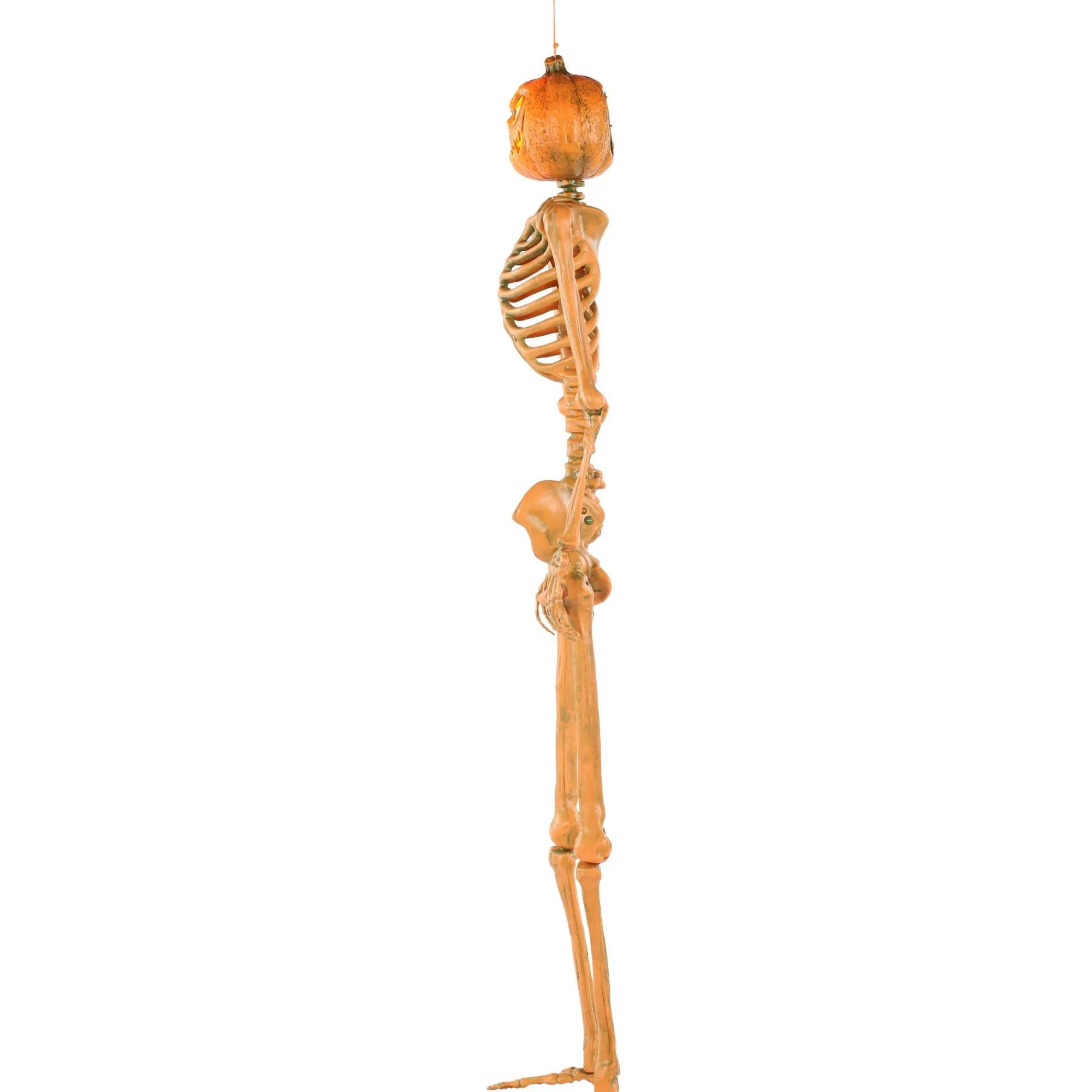 Party City Skeletons|Light-Up Midnight Pumpkin Led Plastic Skeleton, 5Ft