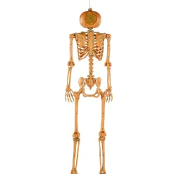 Party City Skeletons|Light-Up Midnight Pumpkin Led Plastic Skeleton, 5Ft