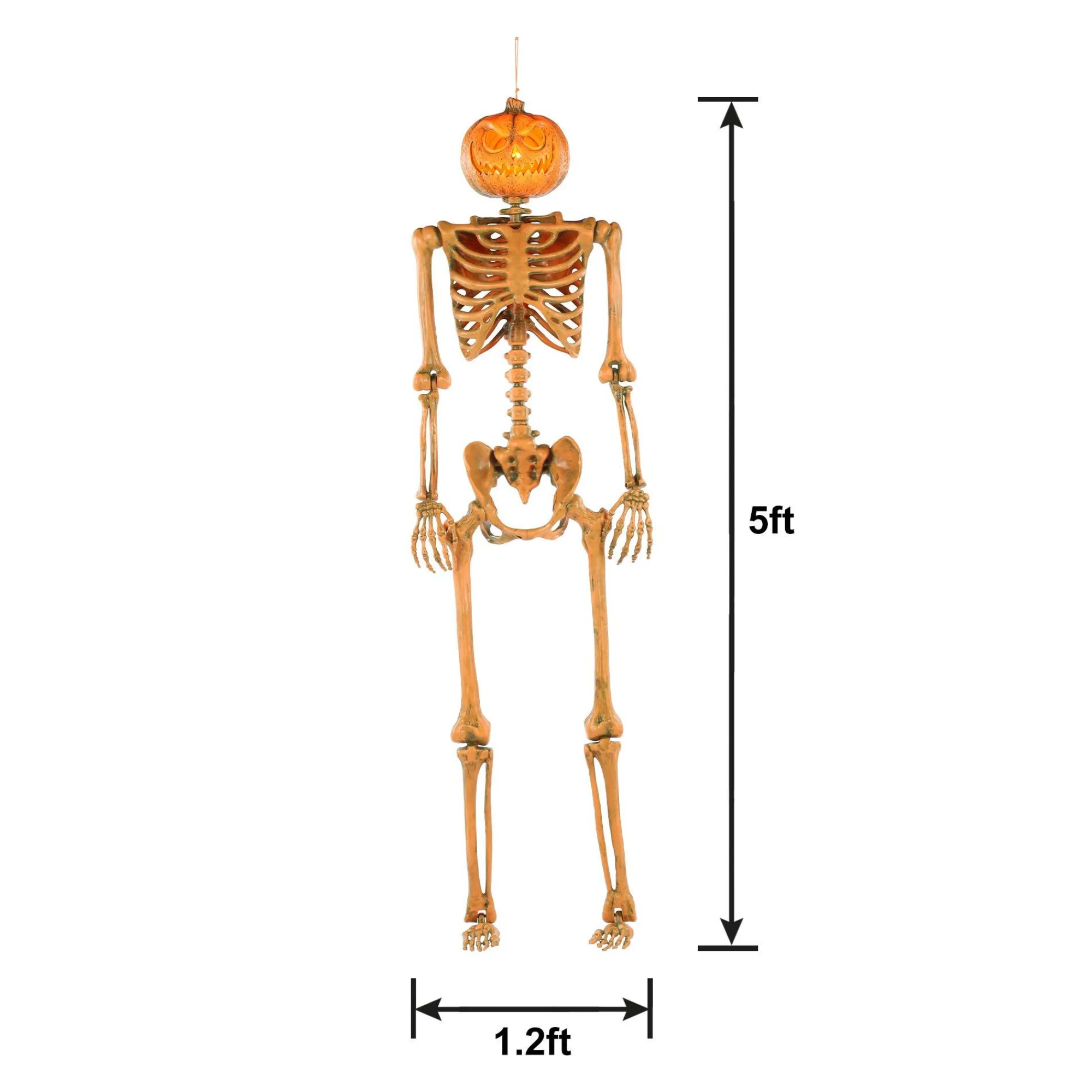 Party City Skeletons|Light-Up Midnight Pumpkin Led Plastic Skeleton, 5Ft