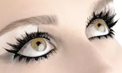 Party City Makeup-Long Black Eyelashes