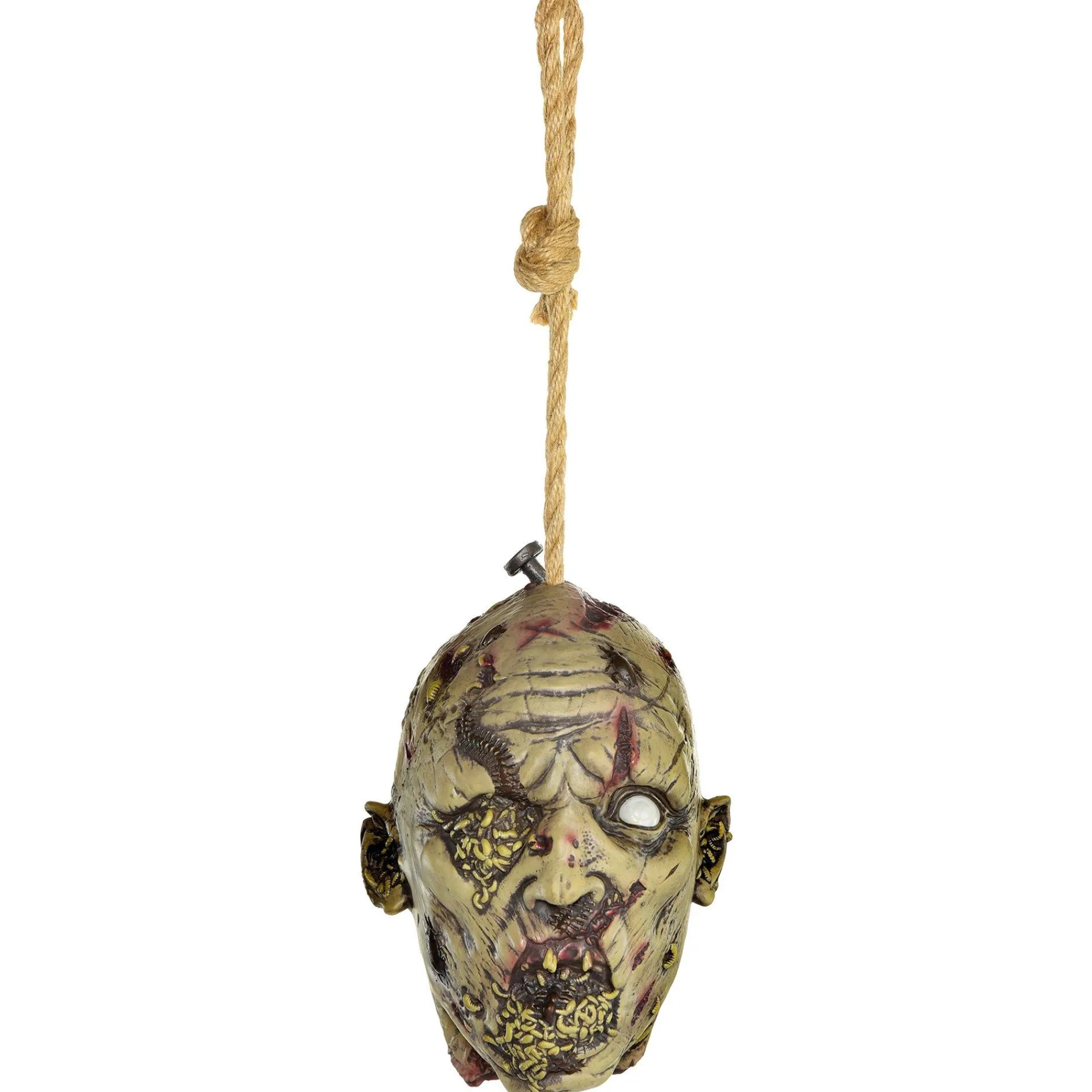 Party City Get Axed|Maggot & Pest Infested Head Latex & Rope Hanging Decoration, 7.7In X 11In