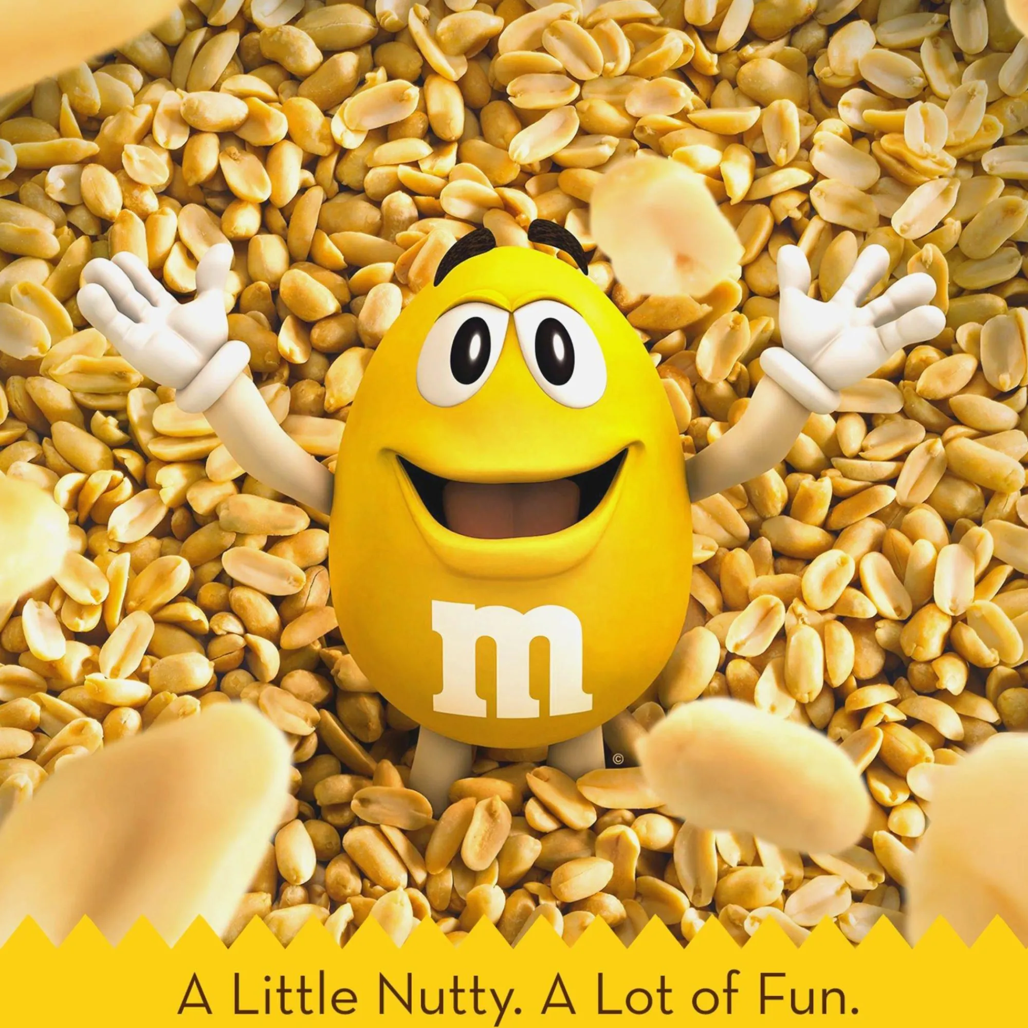 M&Ms Chocolate Candy-Milk Chocolate Peanut M&M's - Share Size