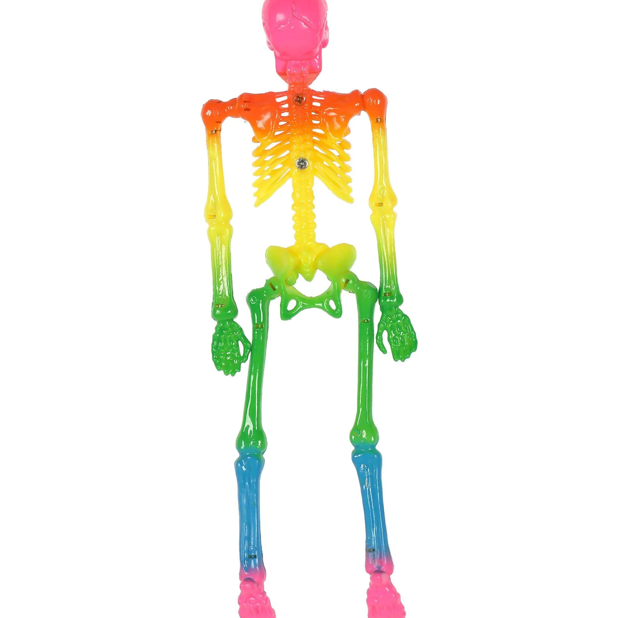 Party City Skeletons|Mini Rainbow Poseable Plastic Hanging Skeleton, 8In