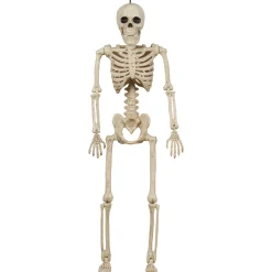 Party City Boneyard Glam|Miniature Realistic Hanging Skeleton, 16In