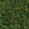 Party City Home Décor|Natural Moss, 4.2Oz