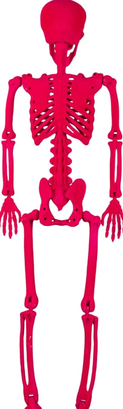 Party City Window & Wall Décor|Neon Pink Black Light Reactive Flocked Skeleton Hanging Decoration, 36In