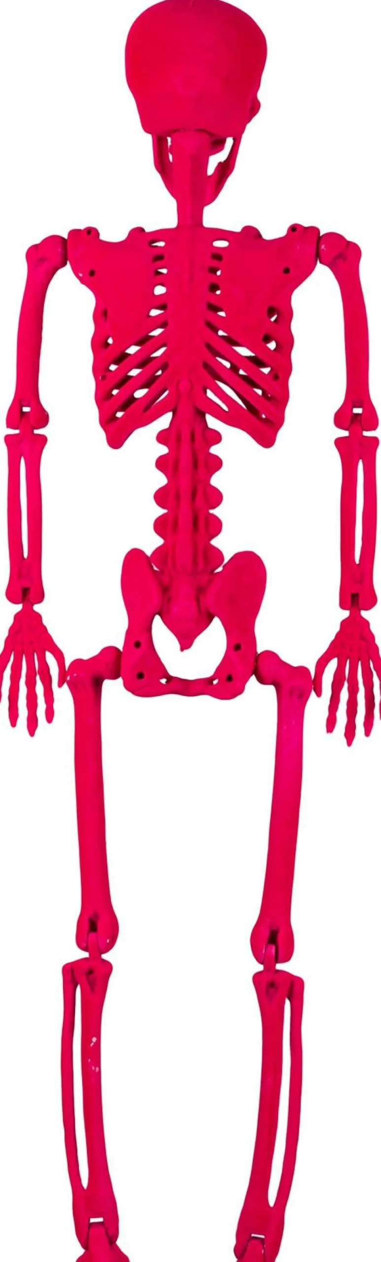 Party City Window & Wall Décor|Neon Pink Black Light Reactive Flocked Skeleton Hanging Decoration, 36In