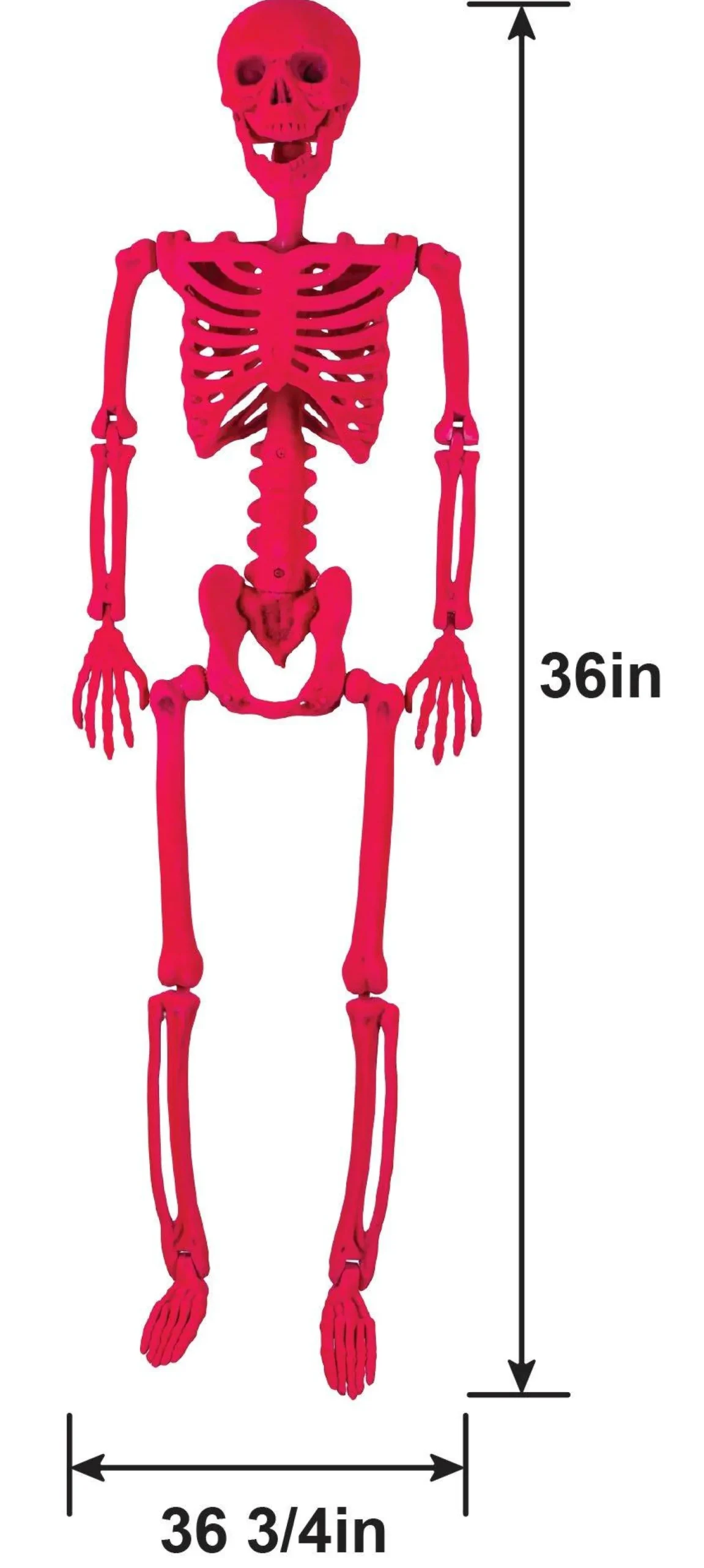 Party City Window & Wall Décor|Neon Pink Black Light Reactive Flocked Skeleton Hanging Decoration, 36In