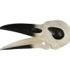 Party City Creatures|Plastic Raven Skull, 3.5In X 8.75In