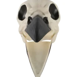 Party City Creatures|Plastic Raven Skull, 3.5In X 8.75In