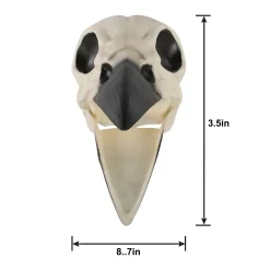 Party City Creatures|Plastic Raven Skull, 3.5In X 8.75In