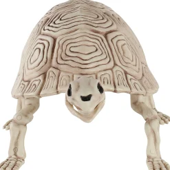 Party City Skeletons|Plastic Turtle Skeleton, 7In X 14In