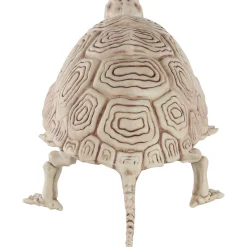 Party City Skeletons|Plastic Turtle Skeleton, 7In X 14In