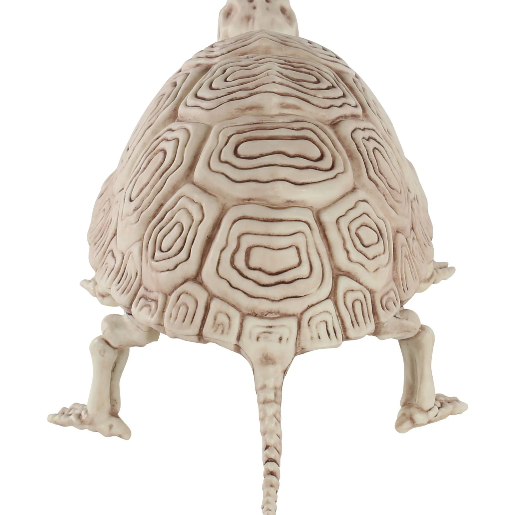 Party City Skeletons|Plastic Turtle Skeleton, 7In X 14In
