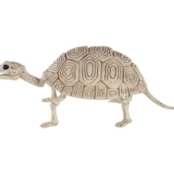 Party City Creatures|Plastic Turtle Skeleton, 7In X 14In
