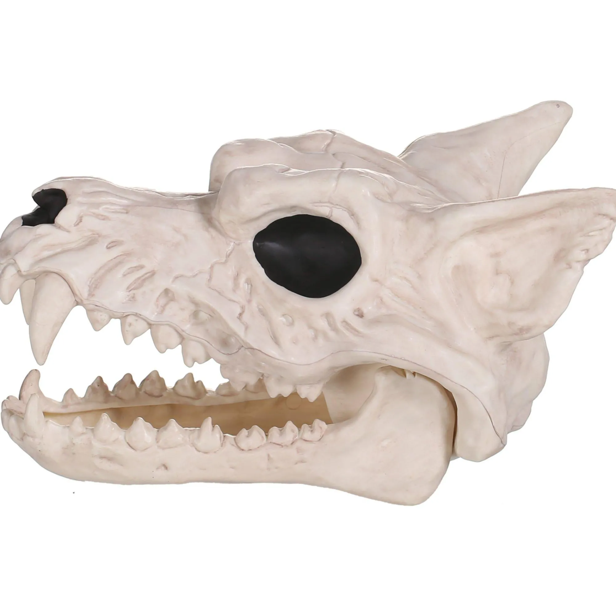 Party City Creatures|Plastic Werewolf Skull, 6.75In X 10.25In