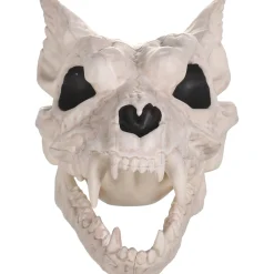 Party City Creatures|Plastic Werewolf Skull, 6.75In X 10.25In