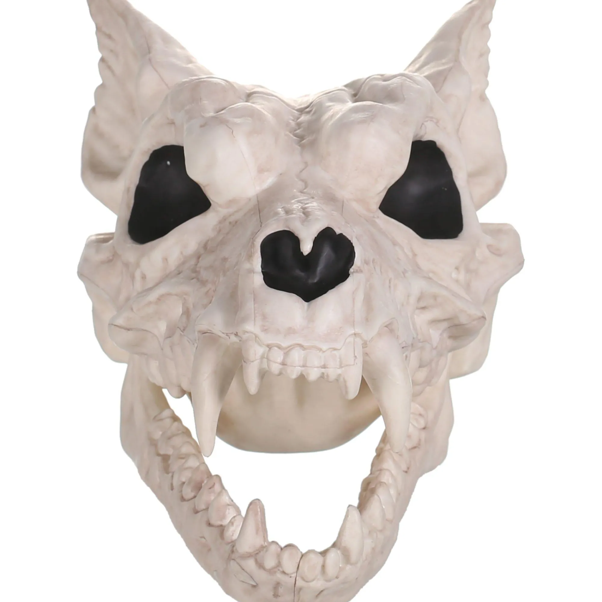 Party City Creatures|Plastic Werewolf Skull, 6.75In X 10.25In