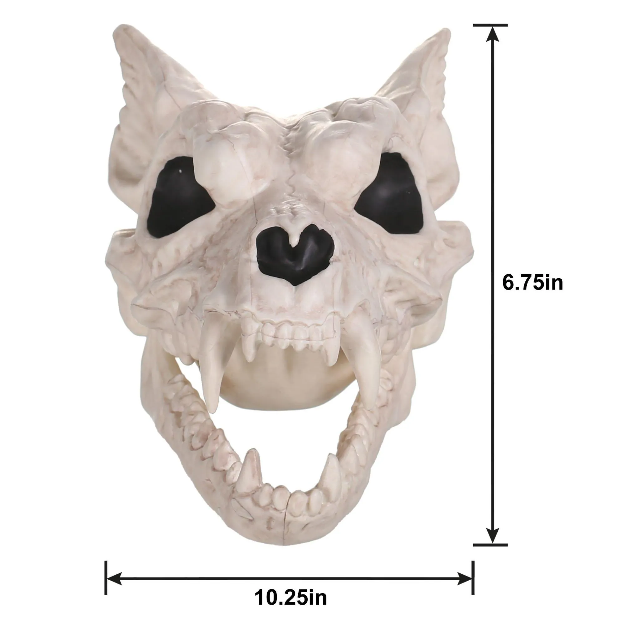 Party City Creatures|Plastic Werewolf Skull, 6.75In X 10.25In