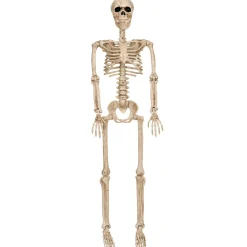 Party City Skeletons|Realistic Hanging Skeleton, 3Ft - Halloween Decoration