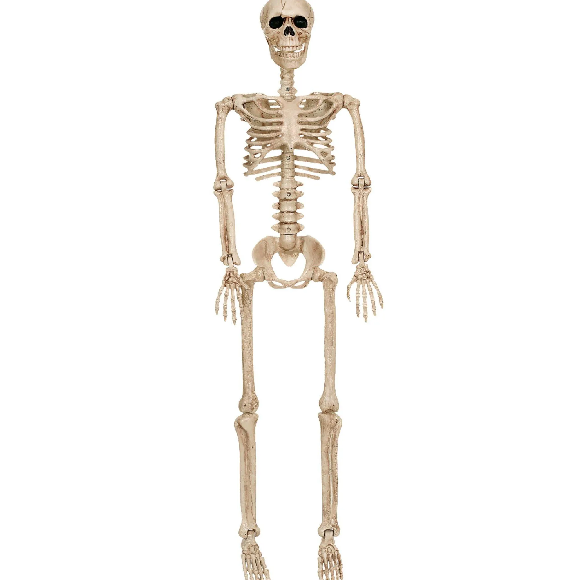 Party City Skeletons|Realistic Hanging Skeleton, 3Ft - Halloween Decoration