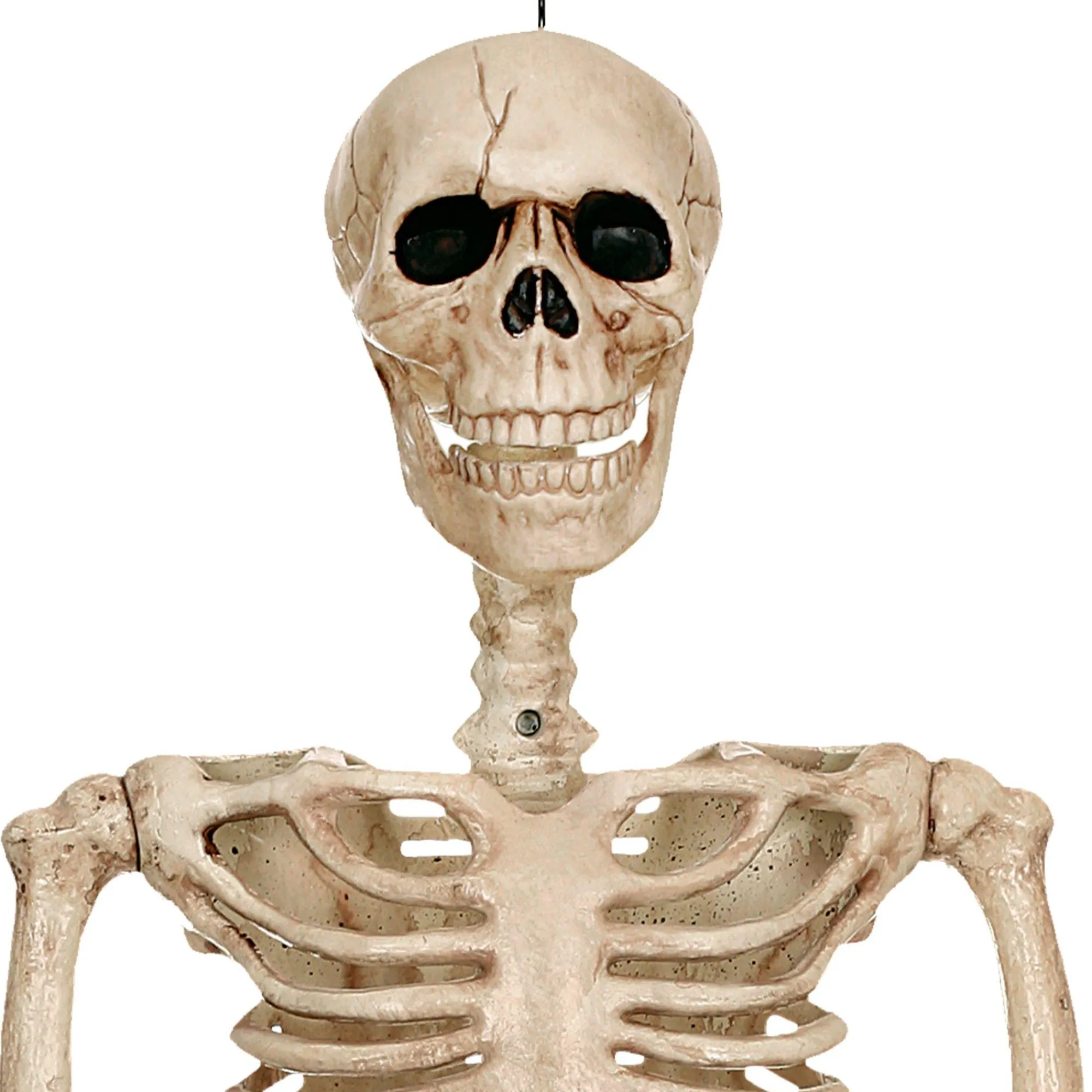 Party City Skeletons|Realistic Hanging Skeleton, 3Ft - Halloween Decoration