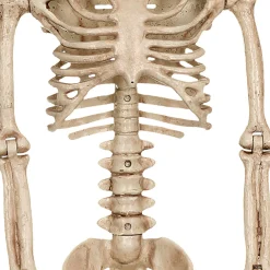 Party City Skeletons|Realistic Hanging Skeleton, 3Ft - Halloween Decoration